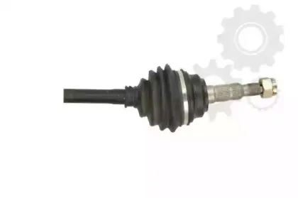 lauber-882248