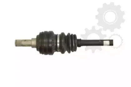 lauber-882248