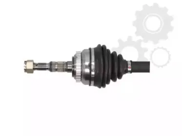 lauber-882253