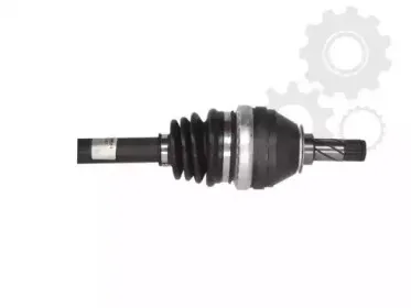 lauber-882253