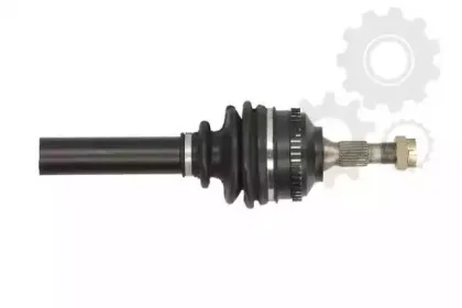 lauber-882262