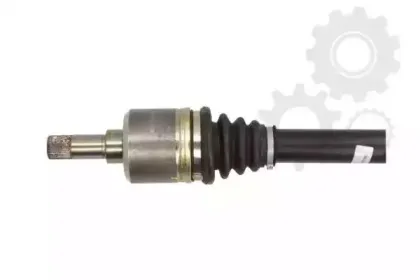 lauber-882262