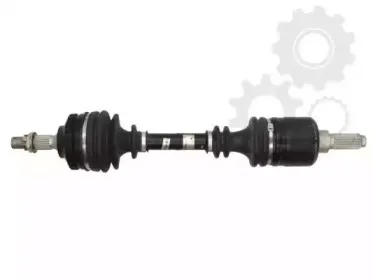 lauber-882266