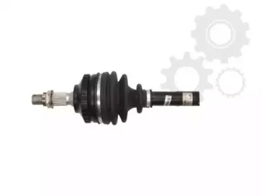 lauber-882266