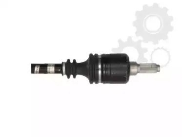lauber-882266