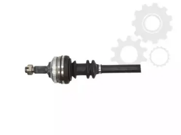 lauber-882269