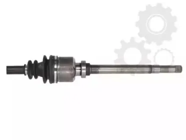 lauber-882269