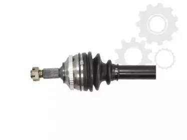 lauber-882270