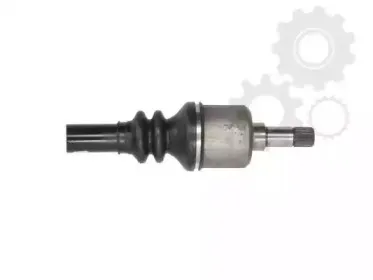 lauber-882270