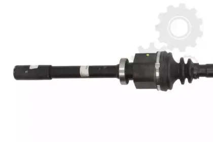 lauber-882283
