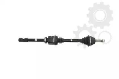 lauber-882283
