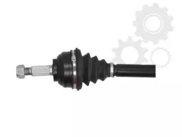 lauber-882294