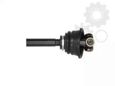 lauber-882294