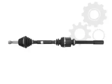 lauber-882302