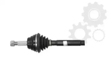 lauber-882302