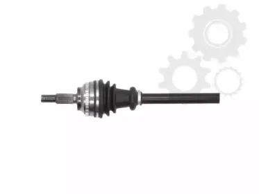 lauber-882306