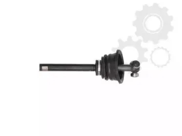 lauber-882306