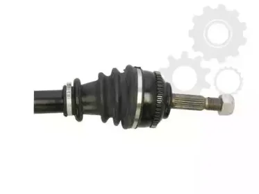 lauber-882312