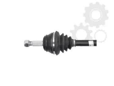 lauber-882341