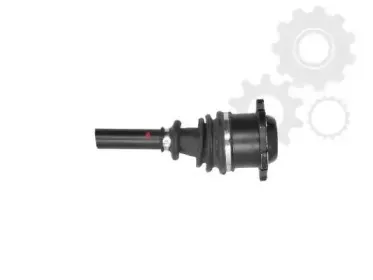 lauber-882341