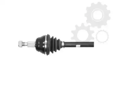 lauber-882346