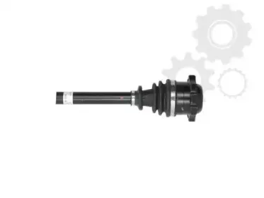lauber-882346