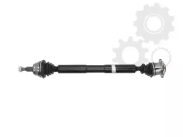 lauber-882347