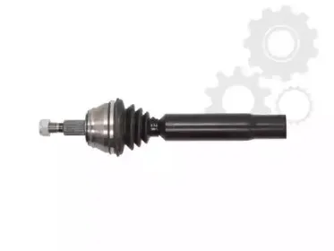 lauber-882347