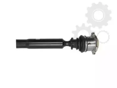 lauber-882347