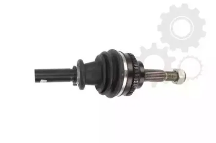 lauber-882465