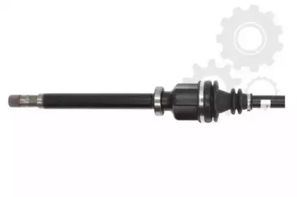 lauber-882465