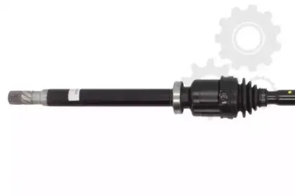 lauber-882638