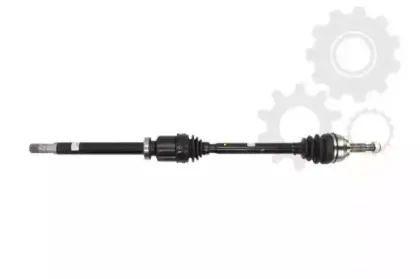 lauber-882638