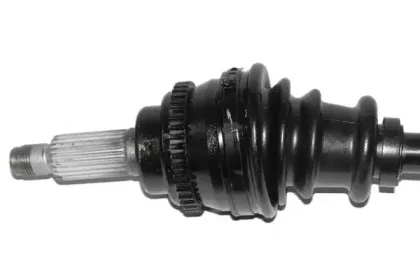 lauber-882667