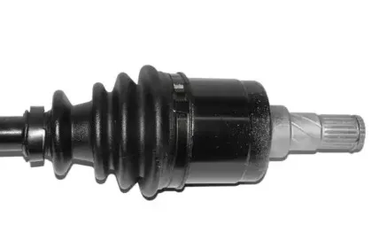 lauber-882667