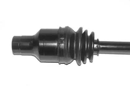 lauber-882668