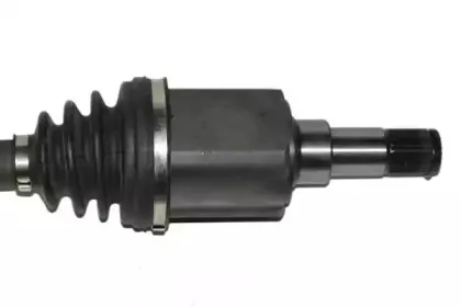 lauber-882674