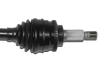 lauber-882679