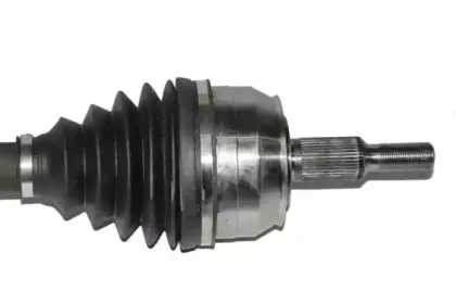 lauber-882680