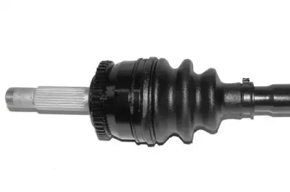lauber-882682