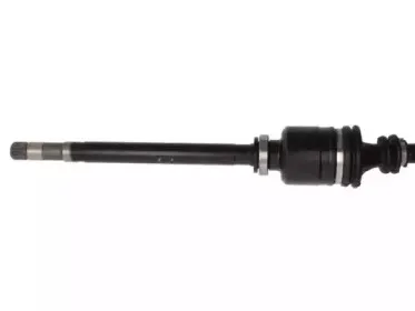 lauber-882720