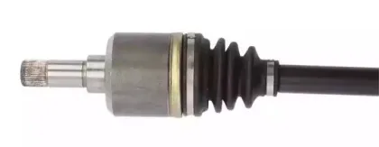 lauber-882721