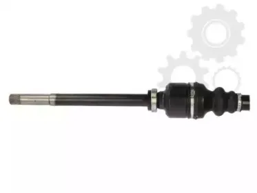 lauber-882723