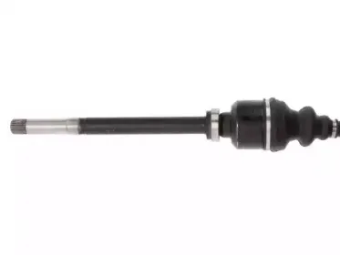 lauber-882728