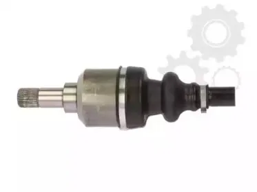 lauber-882729