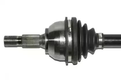 lauber-882730