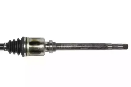 lauber-882730