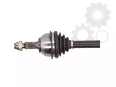 lauber-882731