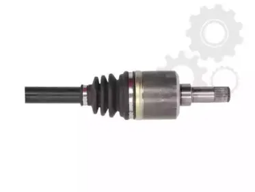 lauber-882731