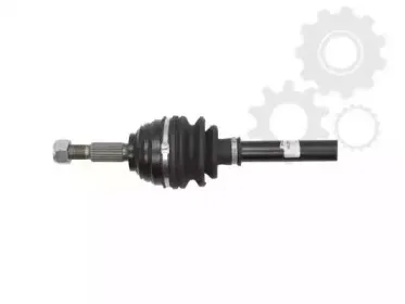 lauber-882738